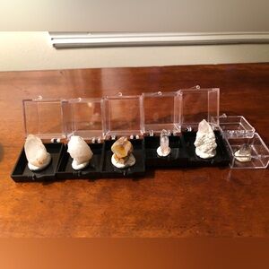 Crystal Display Set with Clear and Black Accents